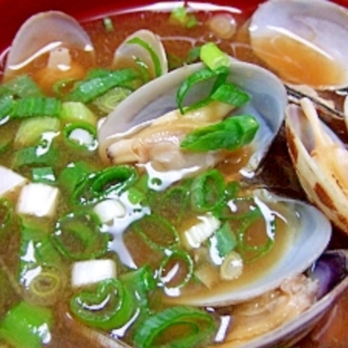 あさりのお味噌汁 50度のお湯に浸けてみました レシピ 作り方 By Iihi009 楽天レシピ あさりのお味噌汁 50度のお湯に浸けてみました レシピ 作り方 By Iihi009 楽天レシピ